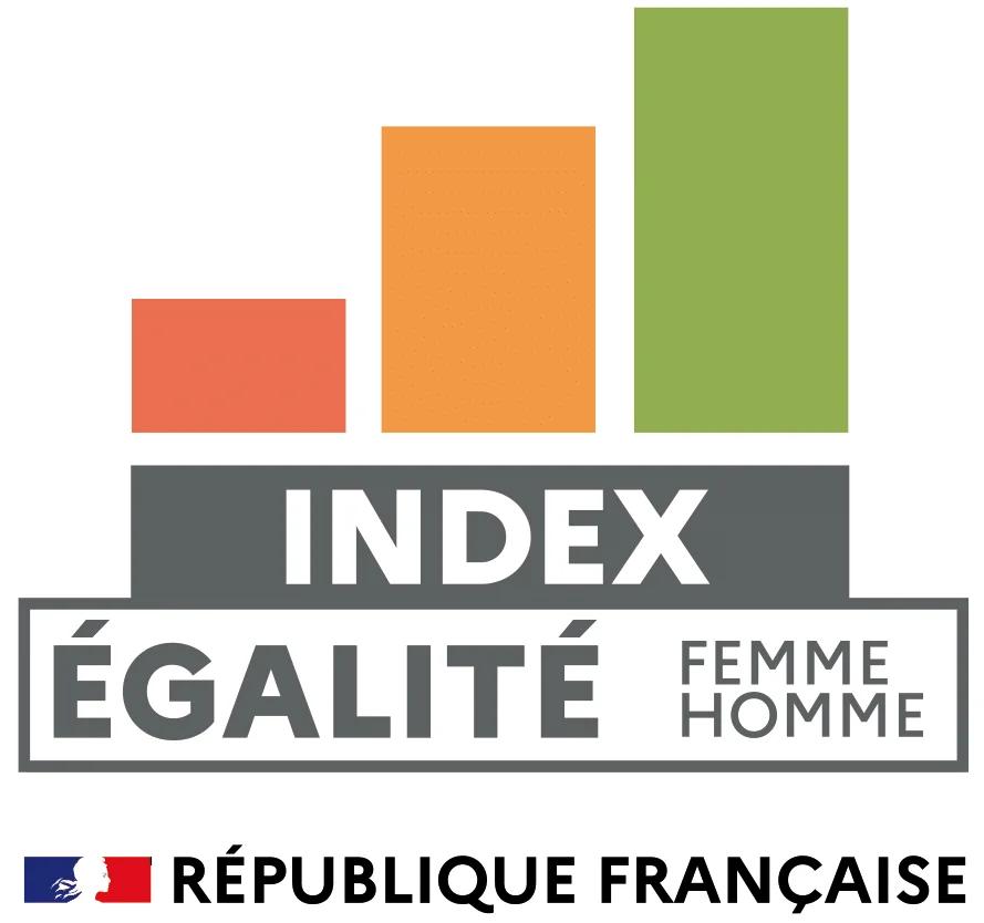 Logo Index Egalité professionnelle